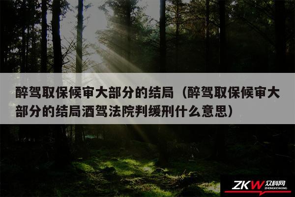 醉驾取保候审大部分的结局以及醉驾取保候审大部分的结局酒驾法院判缓刑什么意思