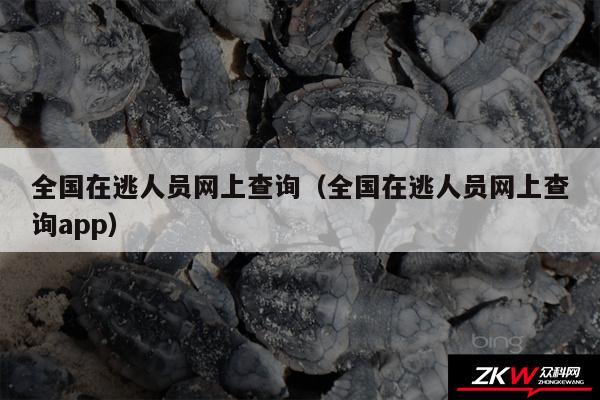 全国在逃人员网上查询以及全国在逃人员网上查询app