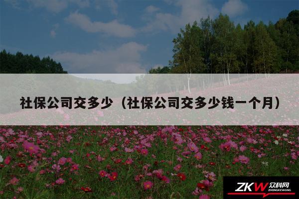 社保公司交多少以及社保公司交多少钱一个月