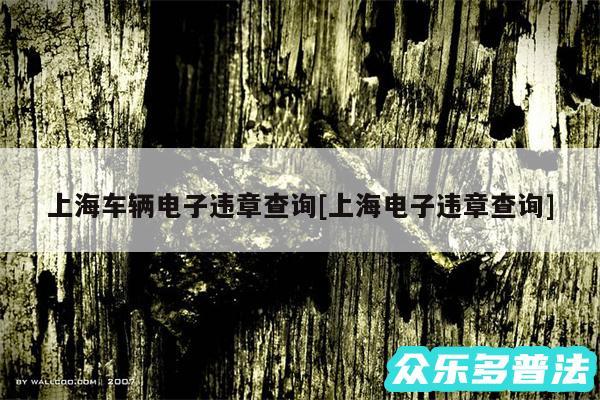 上海车辆电子违章查询及上海电子违章查询