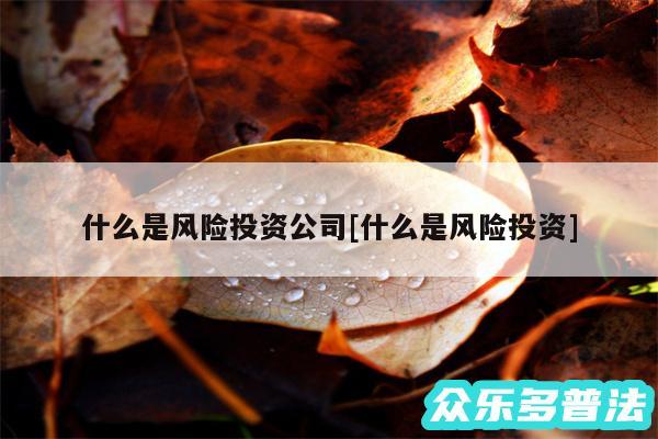 什么是风险投资公司及什么是风险投资