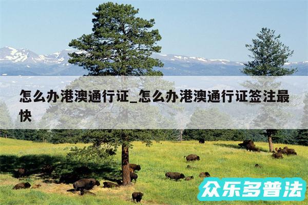 怎么办港澳通行证_怎么办港澳通行证签注最快