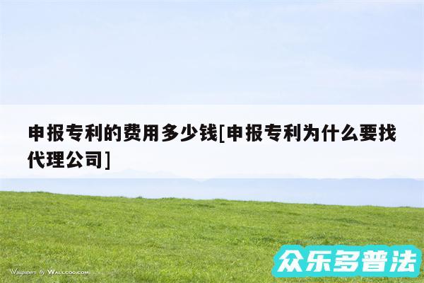 申报专利的费用多少钱及申报专利为什么要找代理公司