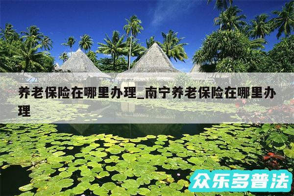 养老保险在哪里办理_南宁养老保险在哪里办理