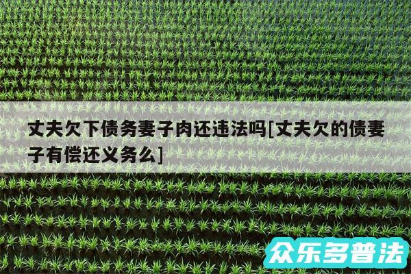 丈夫欠下债务妻子肉还违法吗及丈夫欠的债妻子有偿还义务么
