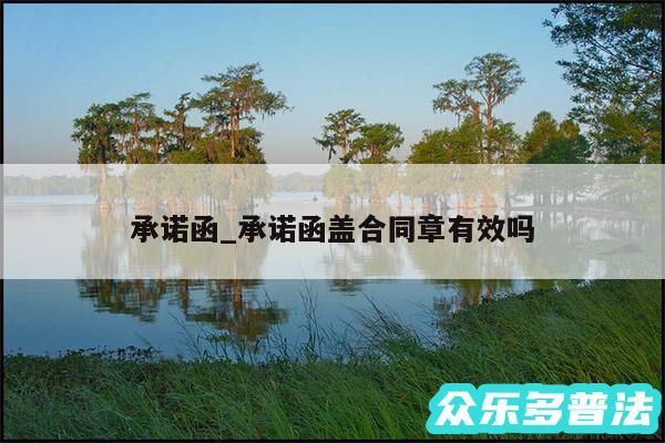 承诺函_承诺函盖合同章有效吗