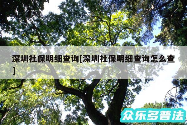 深圳社保明细查询及深圳社保明细查询怎么查
