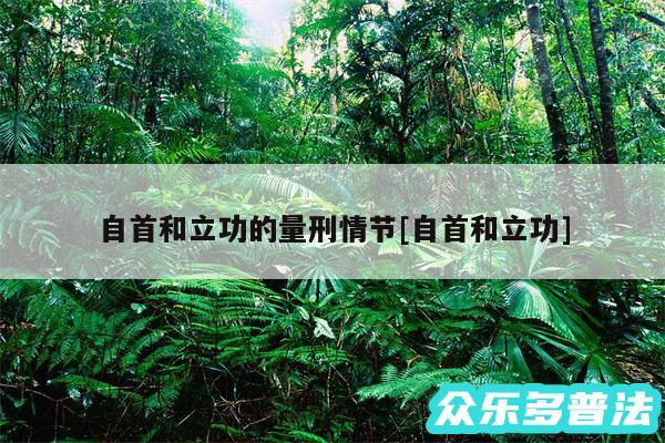 自首和立功的量刑情节及自首和立功