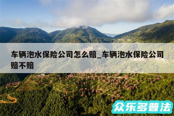 车辆泡水保险公司怎么赔_车辆泡水保险公司赔不赔