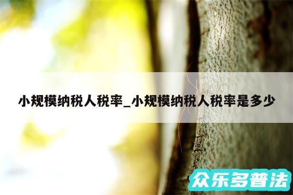 小规模纳税人税率_小规模纳税人税率是多少