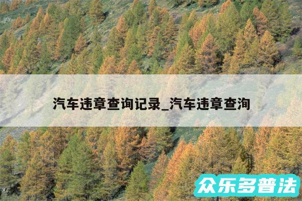 汽车违章查询记录_汽车违章查洵