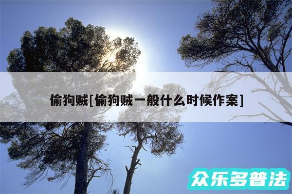 偷狗贼及偷狗贼一般什么时候作案