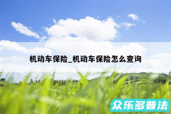 机动车保险_机动车保险怎么查询