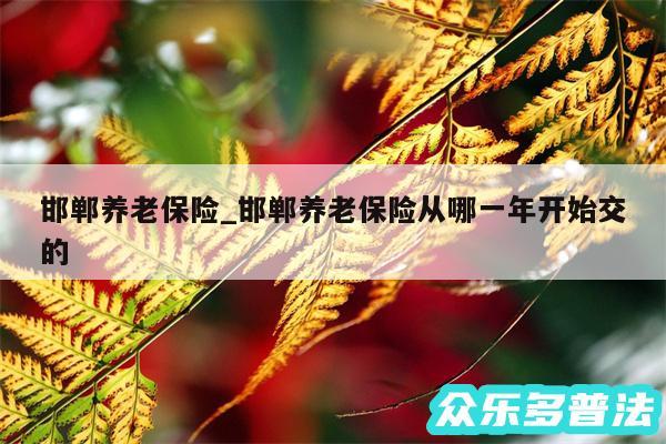 邯郸养老保险_邯郸养老保险从哪一年开始交的