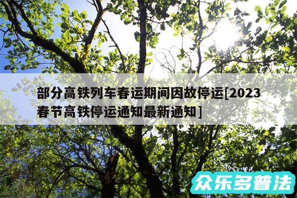 部分高铁列车春运期间因故停运及2024春节高铁停运通知最新通知