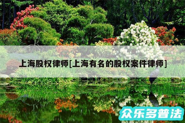 上海股权律师及上海有名的股权案件律师
