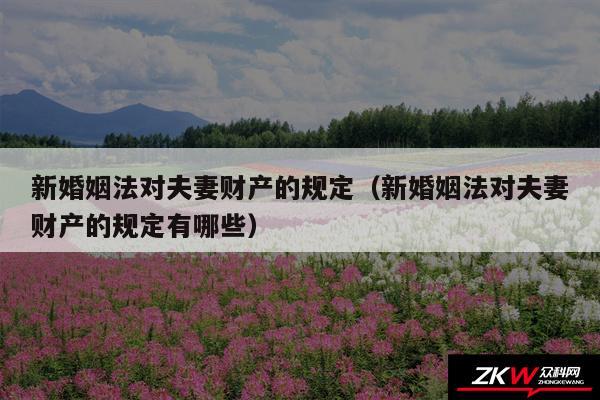 新婚姻法对夫妻财产的规定以及新婚姻法对夫妻财产的规定有哪些
