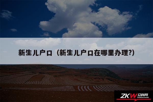 新生儿户口以及新生儿户口在哪里办理?