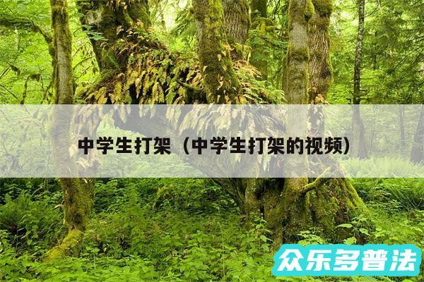 中学生打架以及中学生打架的视频