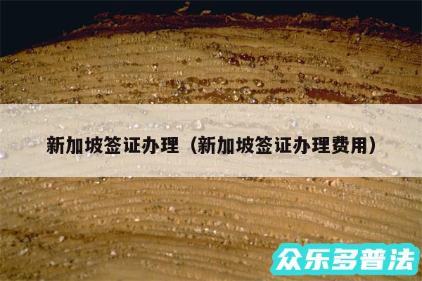 新加坡签证办理以及新加坡签证办理费用