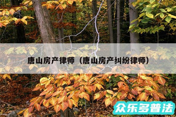 唐山房产律师以及唐山房产纠纷律师