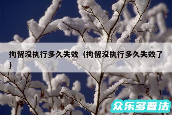 拘留没执行多久失效以及拘留没执行多久失效了