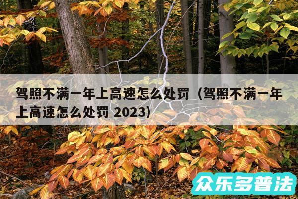 驾照不满一年上高速怎么处罚以及驾照不满一年上高速怎么处罚 2024