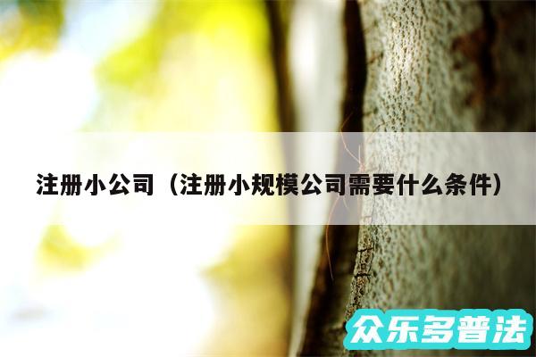 注册小公司以及注册小规模公司需要什么条件