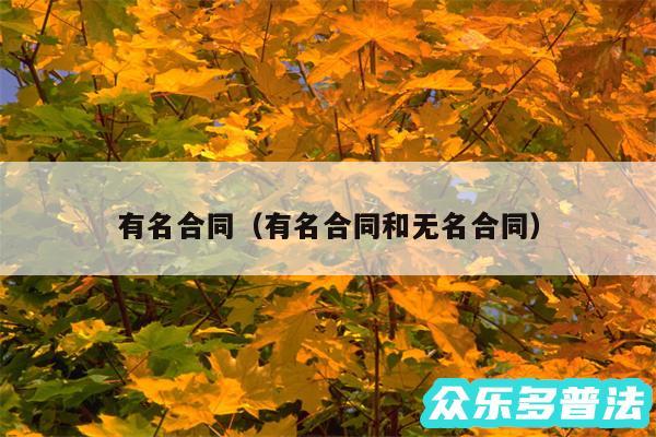 有名合同以及有名合同和无名合同