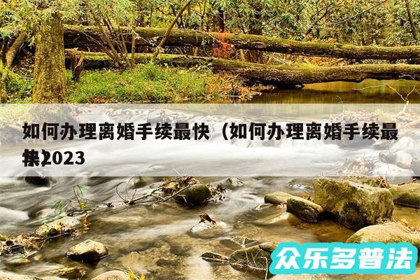 如何办理离婚手续最快以及如何办理离婚手续最快2024年