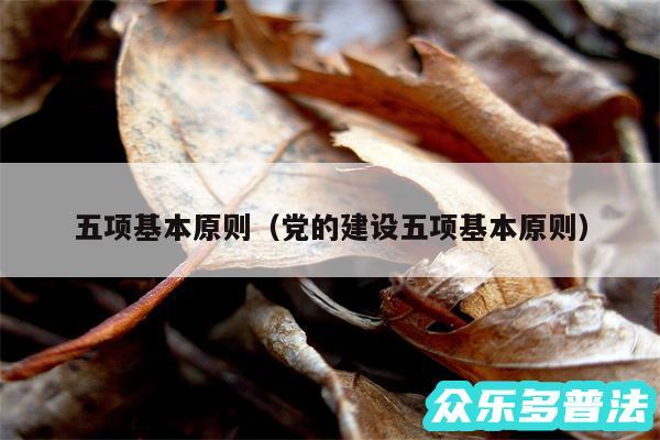 五项基本原则以及党的建设五项基本原则