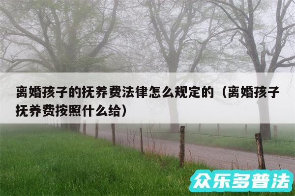 离婚孩子的抚养费法律怎么规定的以及离婚孩子抚养费按照什么给
