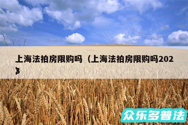 上海法拍房限购吗以及上海法拍房限购吗2024
