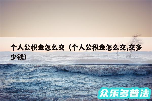 个人公积金怎么交以及个人公积金怎么交,交多少钱