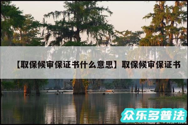 取保候审保证书什么意思还有取保候审保证书