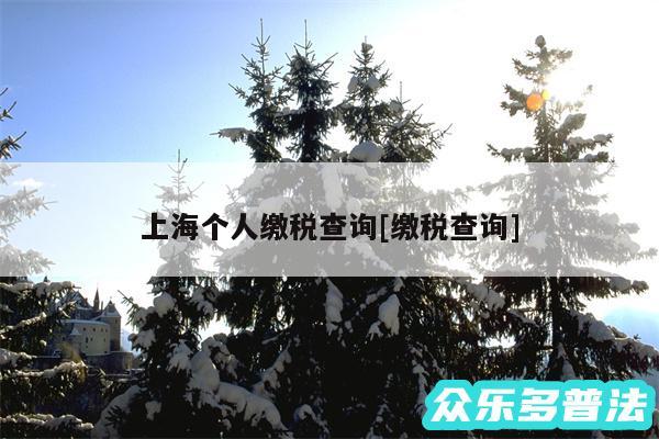 上海个人缴税查询及缴税查询