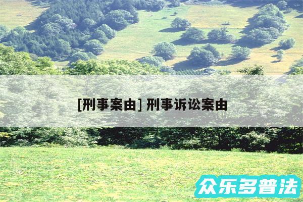 及刑事案由 刑事诉讼案由