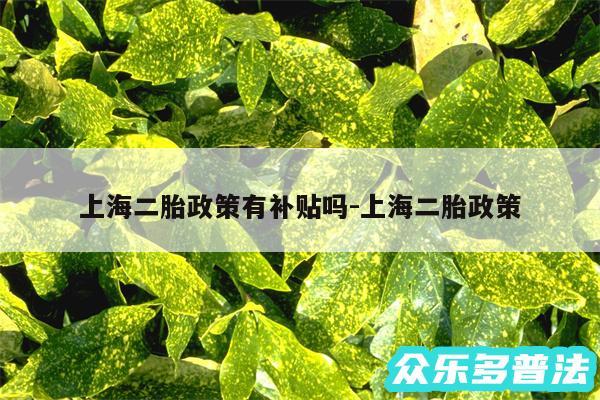 上海二胎政策有补贴吗-上海二胎政策