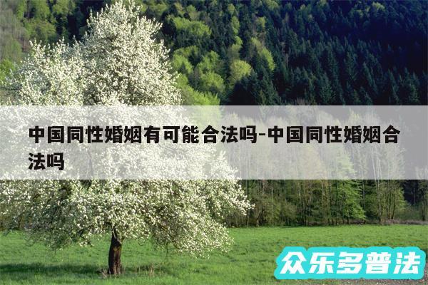 中国同性婚姻有可能合法吗-中国同性婚姻合法吗