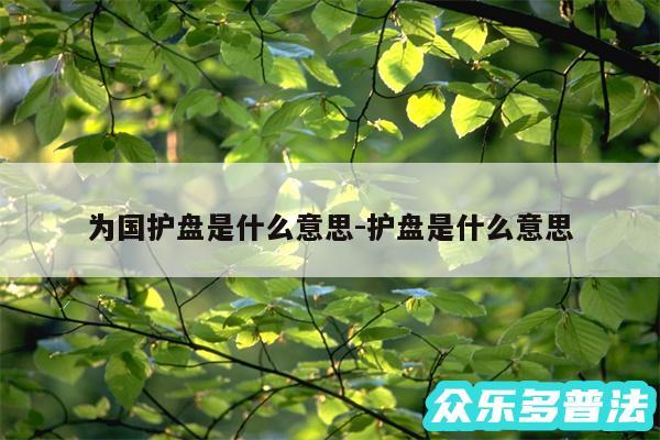为国护盘是什么意思-护盘是什么意思