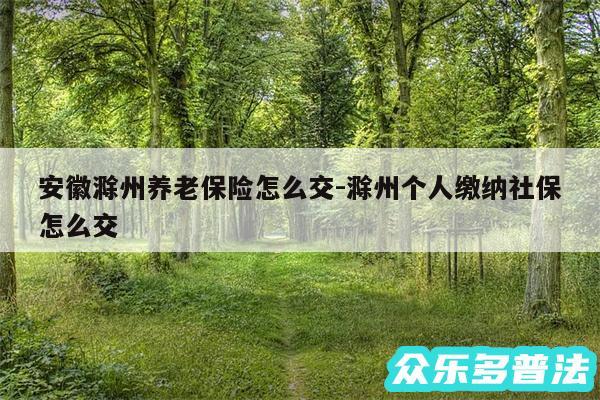 安徽滁州养老保险怎么交-滁州个人缴纳社保怎么交