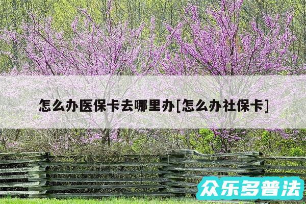 怎么办医保卡去哪里办及怎么办社保卡