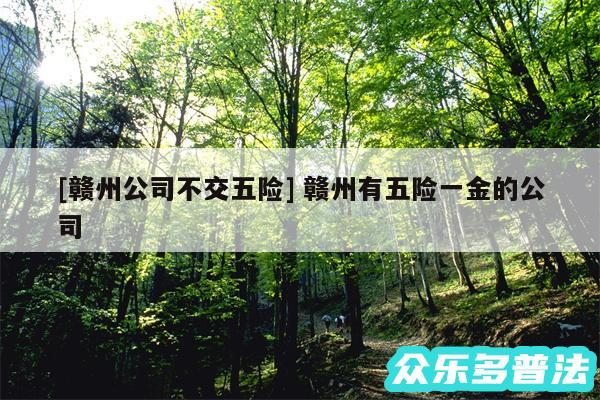 及赣州公司不交五险 赣州有五险一金的公司