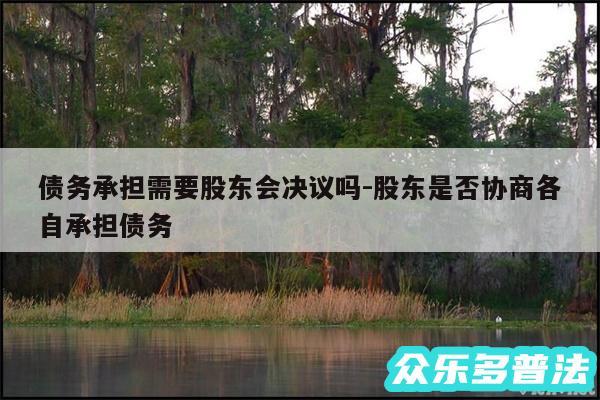 债务承担需要股东会决议吗-股东是否协商各自承担债务