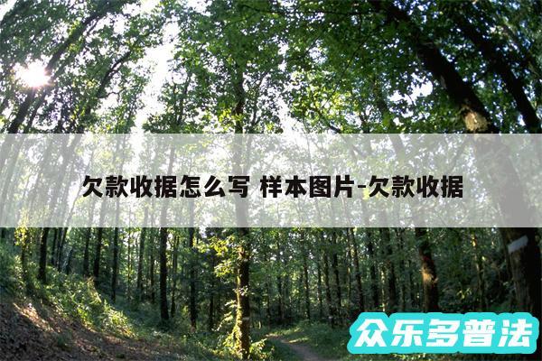 欠款收据怎么写 样本图片-欠款收据