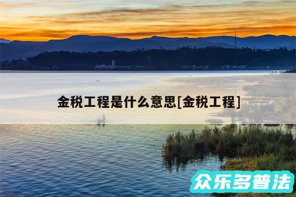 金税工程是什么意思及金税工程