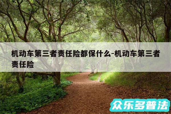 机动车第三者责任险都保什么-机动车第三者责任险
