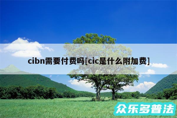 cibn需要付费吗及cic是什么附加费