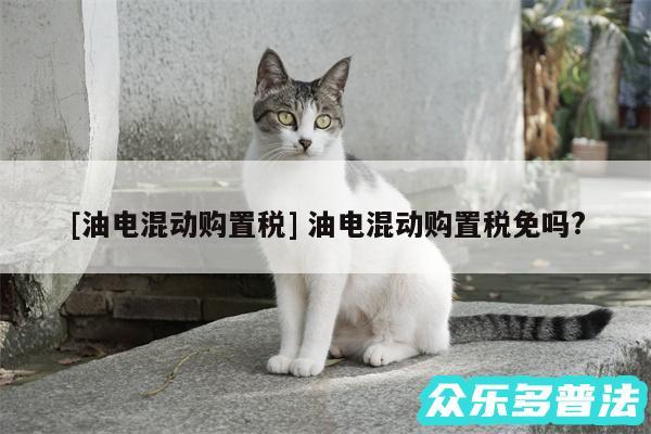 及油电混动购置税 油电混动购置税免吗?