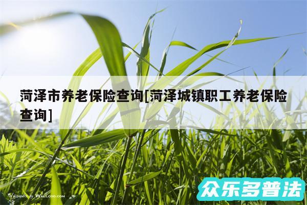 菏泽市养老保险查询及菏泽城镇职工养老保险查询